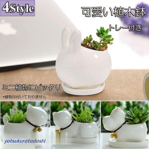 ミニ プランター 植木鉢 多肉植物鉢 サボテン セラミック トレー付き ミニ 観葉植物 ウサギ ネコ...