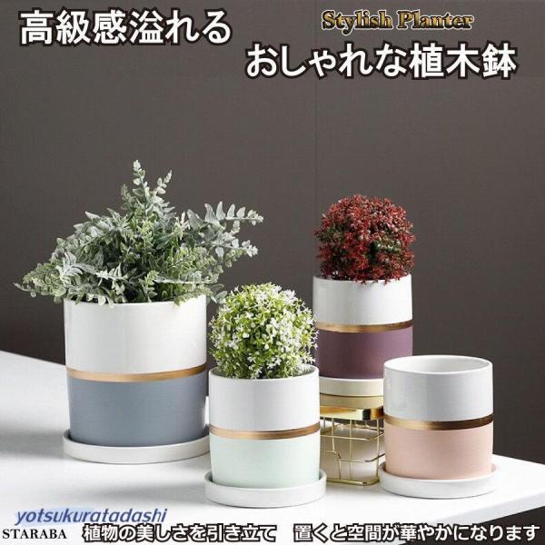 陶器鉢 植木鉢 おしゃれ 鉢植え プランター 円筒形 室内鉢 受け皿付き 穴あり 多肉植物 観葉植物...
