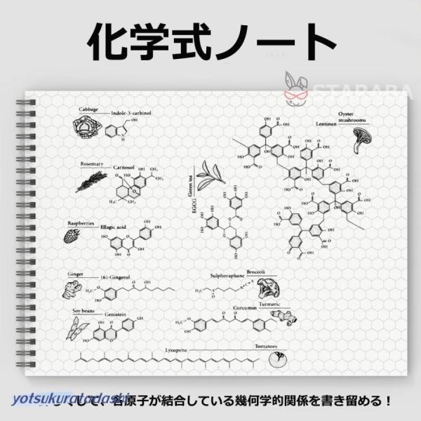化学式ノート 構造式ノート 図式ノート 化学 分子構造ノート A4 50枚入り