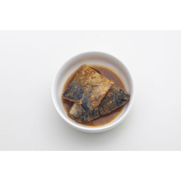 ＜＜レターパック配送＞＞ 超絶味巧 鯖のトマトカレー煮（115ｇ）有明ファーム ＜ご自宅用お試しセッ...