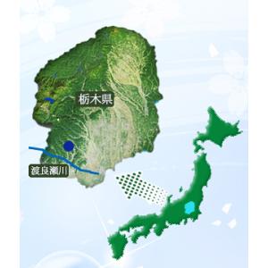 ミネラルウォーター 500ml 48本 【国産...の詳細画像2