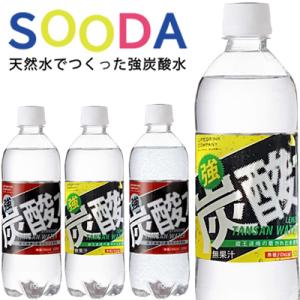 炭酸水 500ml 送料無料 48本　種類が選べるプレーン・レモン 強炭酸 500ml【送料無料エリ...