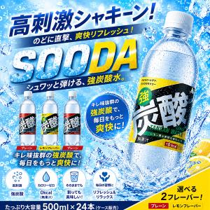 【最安値に挑戦中!】種類が選べる 強炭酸水 炭...の詳細画像1