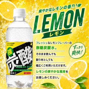 【最安値に挑戦中!】種類が選べる 強炭酸水 炭...の詳細画像3