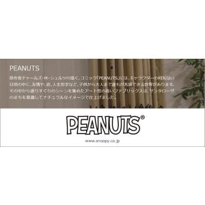 キャラクター デザインレースカーテン 洗える ...の詳細画像4