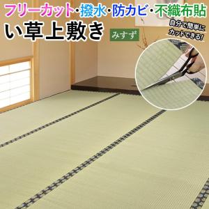 ラグ い草 上敷き 撥水 ござ 畳 フリーカット 切って使える 敷物 夏用 カーペット 防カビ 双目織 裏貼り 本間 十畳 10畳 10帖 約382×477cm みすず (H)｜youai