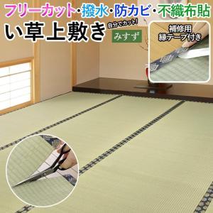 ラグ い草 上敷き 撥水 ござ 畳 フリーカット 切って使える 敷物 夏用 防カビ 双目織 裏貼り 江戸間 二畳 2畳 2帖 約174×174cm みすず 補修テープ付き (H)｜youai