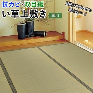 HAGiHARA（萩原） ラグ い草 上敷き 撥水 ござ 畳 敷物 夏用