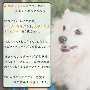 ペット用名札 3.0cm ネームタグ ステンレ...の詳細画像1