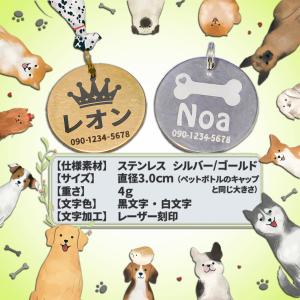 ペット用名札 3.0cm ネームタグ ステンレ...の詳細画像2