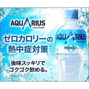 アクエリアス ゼロ ペットボトル 500ml×...の詳細画像2