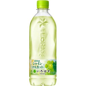 (2ケース単位 送料無料_おまとめ注文用) いろはす い・ろ・は・す シャインマスカット 540ml×24本 ペットボトル コカコーラ