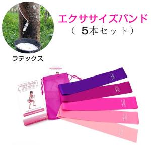 エクササイズバンド トレーニングチューブ 5本セット