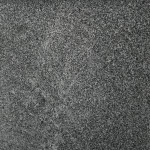 グレー御影石 G654 磨き 30x30x厚1.3cm 1枚 : E-garden ヤフー店