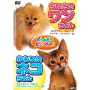 どうぶつだいすき ちいさいワンちゃん＆かわいいネコちゃん レンタル落ち 中古 DVD