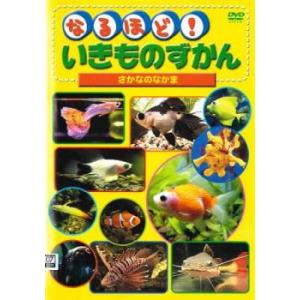 なるほど!いきものずかん さかなのなかま レンタル落ち 中古 DVD