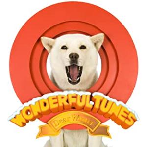 Wonderful Tunes Dear Winter 中古 CD