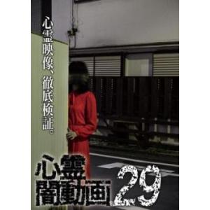 心霊闇動画 29 レンタル落ち 中古 DVD