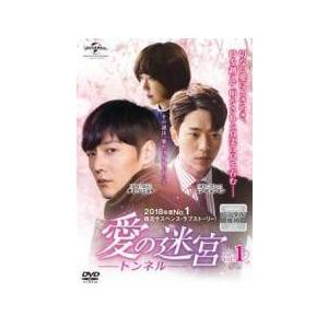 愛の迷宮 トンネル 13巻セット DVDの買取情報