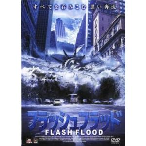 フラッシュフラッド レンタル落ち  DVD