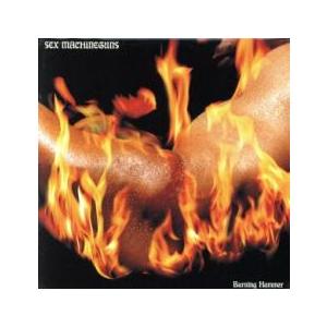 Burning Hammer バーニングハンマー 2CD レンタル落ち 中古 CD