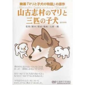 山古志村のマリと三匹の子犬 レンタル落ち  DVD