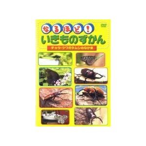 【中古】 なるほど！いきものずかん チョウ・クワガタムシのなかま [レンタル落ち] [DVD]