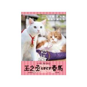 【中古】 いやし猫DVD 猫侍 玉之丞ときどき春馬 [レンタル落ち] [DVD]