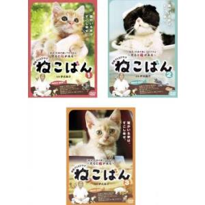 連続テレビドラマ ねこばん 全3枚 第1話〜第12話 最終 レンタル落ち 全巻セット 中古 DVD