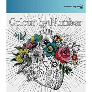 Colour by Number 中古 CD