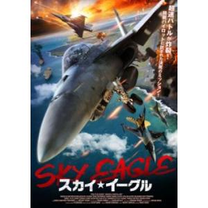 スカイ・イーグル 中古 DVD