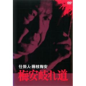 仕掛人 藤枝梅安 梅安岐れ道 レンタル落ち 中古 DVD