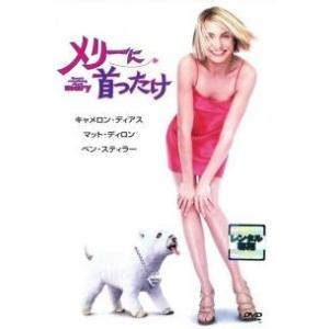 【中古】 【訳あり】 【ジャケット難あり】メリーに首ったけ [レンタル落ち] [DVD]