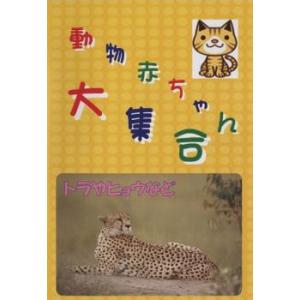 動物赤ちゃん大集合 2 トラやヒョウなど 中古 DVDの商品画像