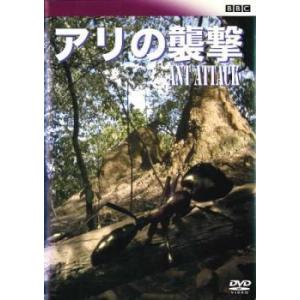 BBC アリの襲撃【字幕】 レンタル落ち 中古 DVD