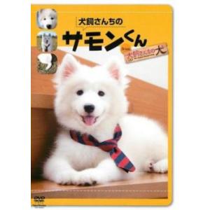 犬飼さんちのサモンくん from 犬飼さんちの犬 レンタル落ち 中古 DVD