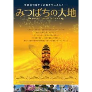 みつばちの大地【字幕】 レンタル落ち 中古 DVDの商品画像