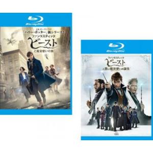 ファンタスティック・ビーストと魔法使いの旅 +