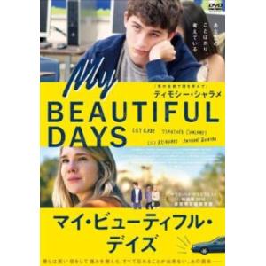 マイ・ビューティフル・デイズ【字幕】 レンタル落ち 中古 DVD