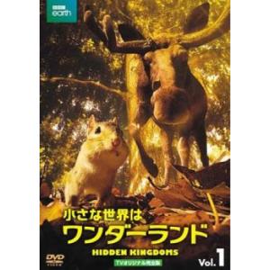 小さな世界はワンダーランド TVオリジナル完全版 1(第1話、第2話) レンタル落ち 中古 DVD