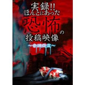 実録!!ほんとにあった恐怖の投稿映像 奇煉怨霊 レンタル落ち 中古 DVD