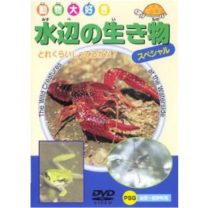 動物大好き 水辺の生き物 スペシャル 中古 DVD