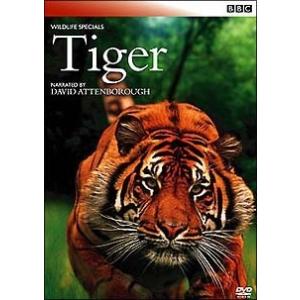 【中古】 BBC ワイルドライフ・スペシャル トラ 狩猟の覇者 [レンタル落ち] [DVD]