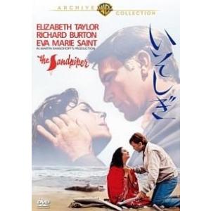 Zアイランド 全2枚 + 関東極道炎上篇 レンタル落ち セット 中古 DVD