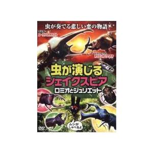 正直不動産 DVD レンタル落ち 10本 セット ○【中古】正直不動産(10巻セット)全5巻,2 全5巻 [レンタル落ち] [DVD