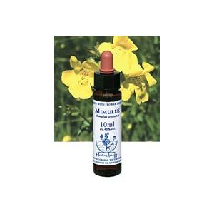 ヒーリングハーブス ミムラスエキス 10ml 日本国内正規品 Healing Herbs No.2