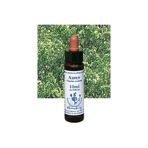 ヒーリングハーブス社 フラワーエッセンスレスキューレメディ スタンド フラワーレメディ バッチシリーズ リバイバルレメディ（レスキュー