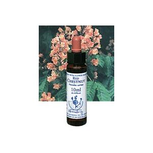 ヒーリングハーブス レッドチェスナットエキス 10ml 日本国内正規品 Healing Herbs No.5