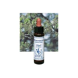 NEAL'S YARD REMEDIES（ニールズヤードレメディーズ） ヒーリング