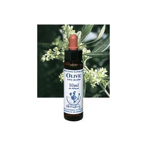 ヒーリングハーブス オリーブエキス 10ml 日本国内正規品 Healing Herbs No.15